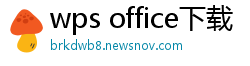 wps office下载